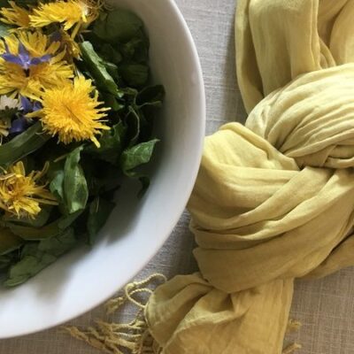 Atelier de couleurs végétales PaMa Fabrique