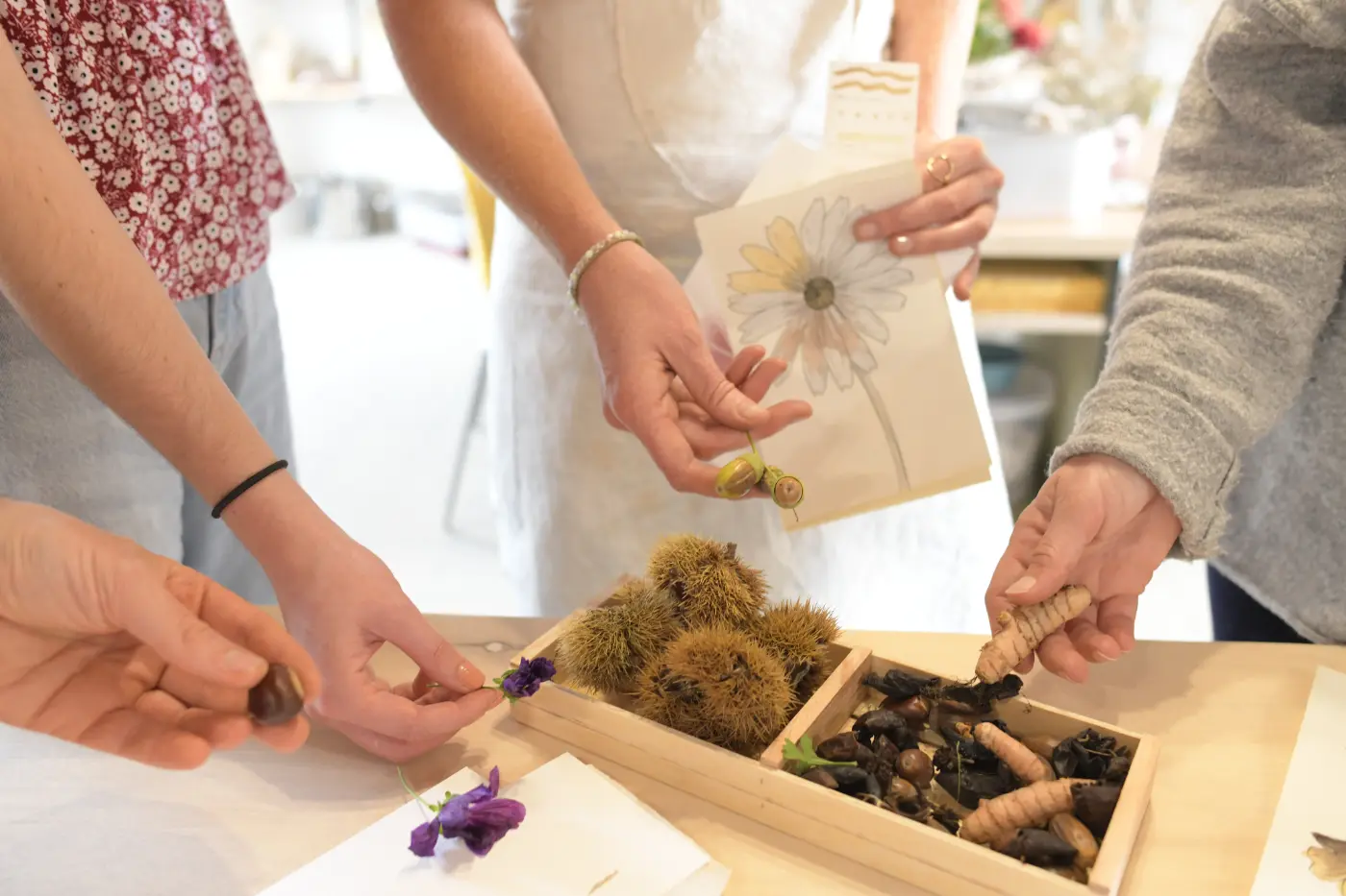 végétaux de saison pour encres végétales PaMa Fabrique